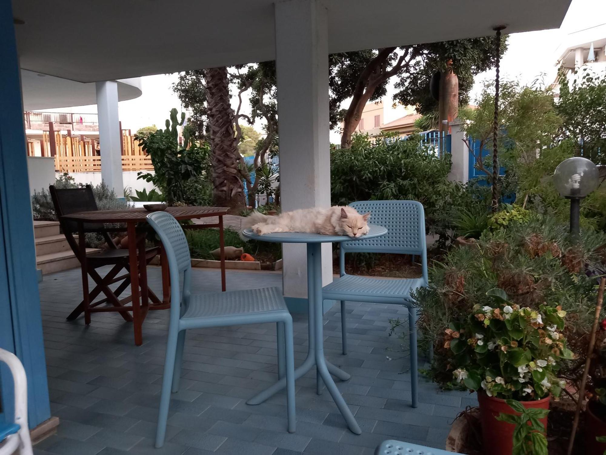 אלגהרו Villa Teodora מראה חיצוני תמונה